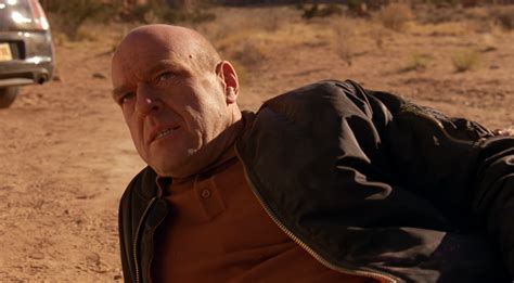 breaking bad hank|breaking bad hank schrader death.